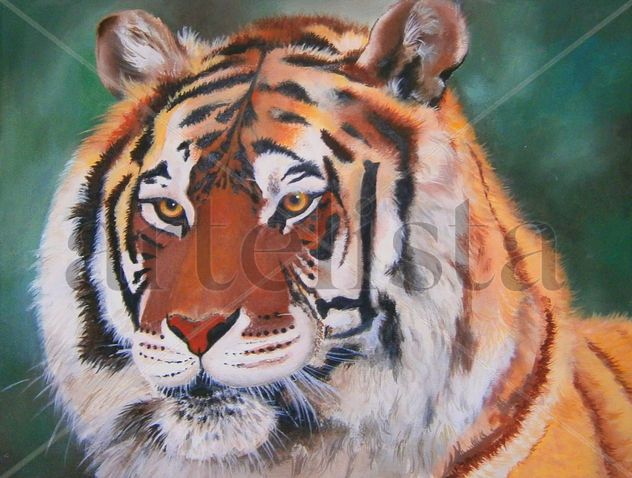 Tigre