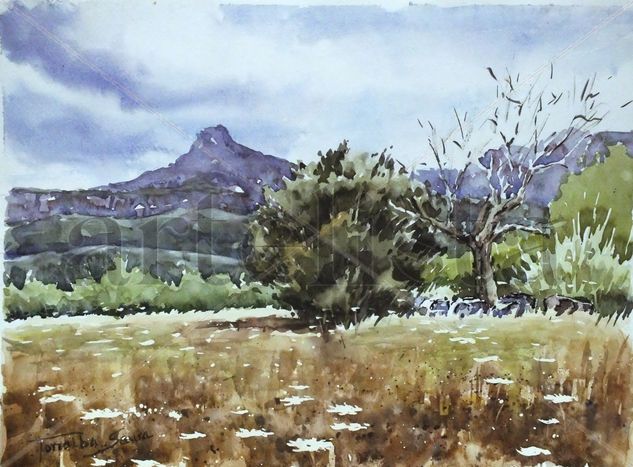 Mallorca 2 Watercolour Paper Landscaping