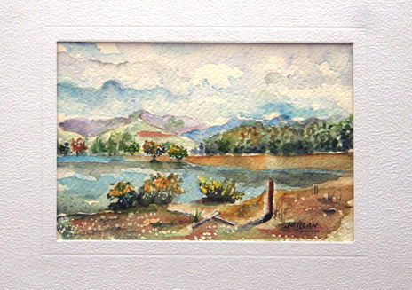 paisaje patagónico II