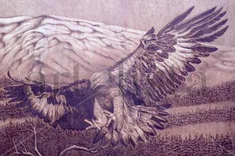 Águila