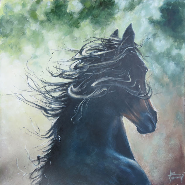 cabeza de caballo negro