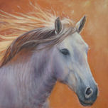 caballos thumbnail 2