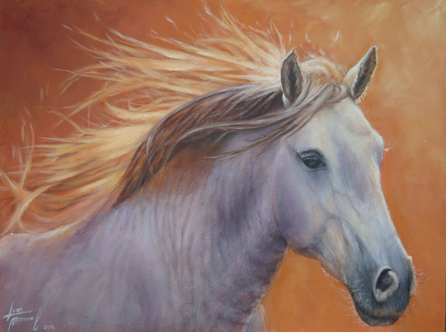 Cabeza de caballo blanco .