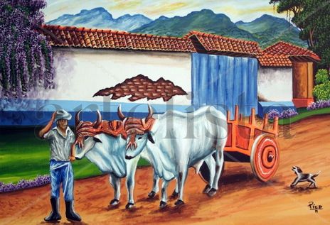 Carretas de costa rica