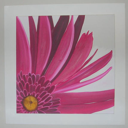 Gerbera