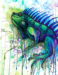 Iguana