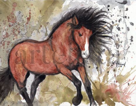 Galope