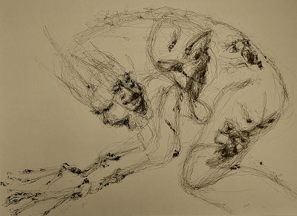 Metamorfosis