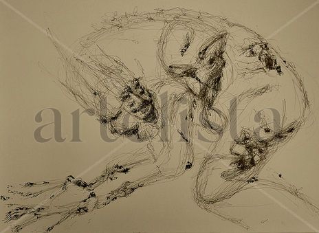 Metamorfosis