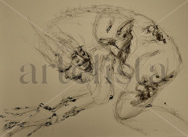Metamorfosis
