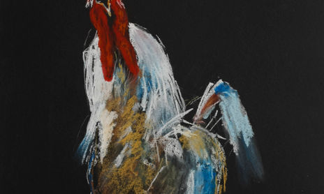 Animales