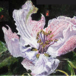 Naturaleza viva (no cortes las flores, píntalas¡¡¡) thumbnail 2