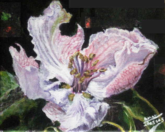 la flor del manzano