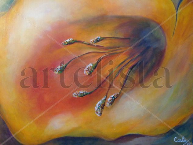 Cartuchos I