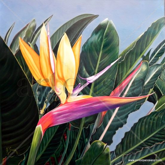 AVE DEL PARAISO Oil Canvas Floral Painting