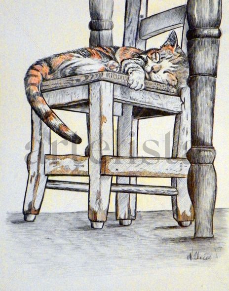 La siesta del gato