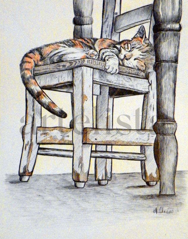 la siesta del gato