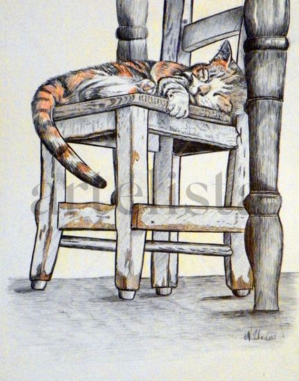 la siesta del gato Mixed Media