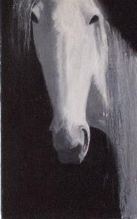 caballo Oil Canvas Animals