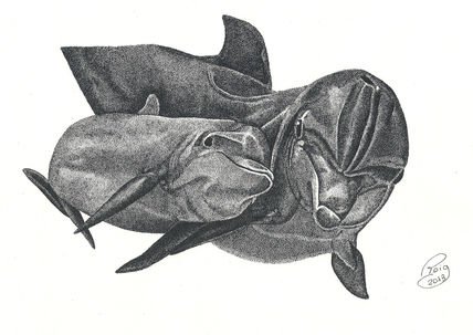 Dofins