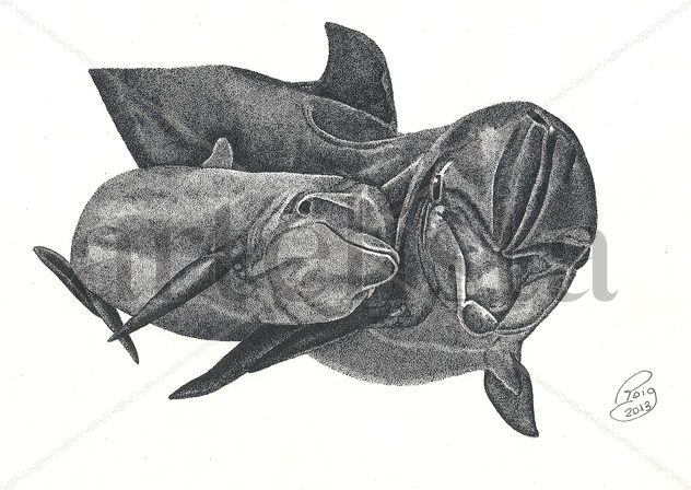 DOFINS