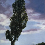 PAISAJE thumbnail 2