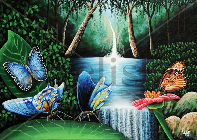 mariposas de Costa Rica Acrylic Canvas Landscaping