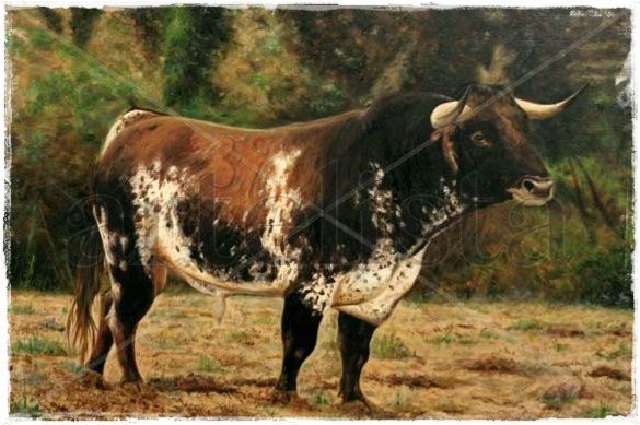 TORO DE CEBADA GAGO