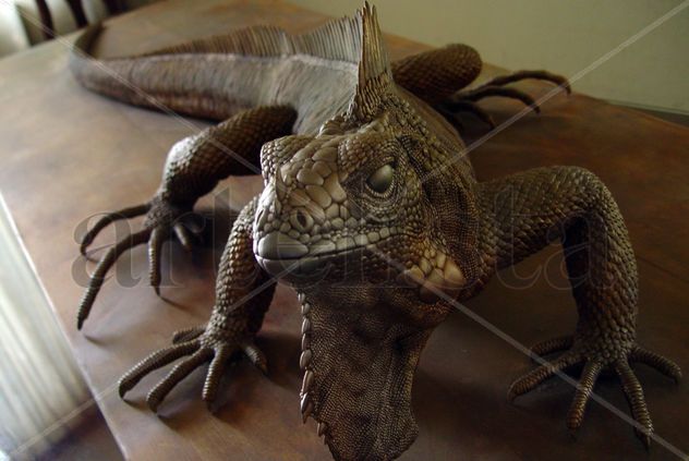 Iguana