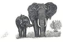 Elefants