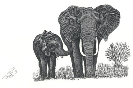 Elefants