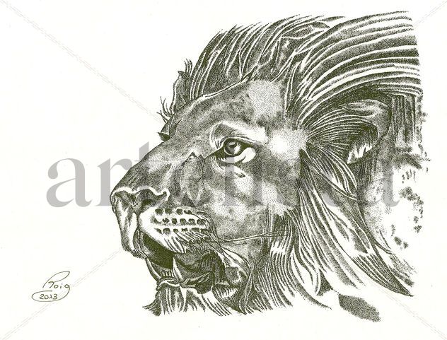 LLEO