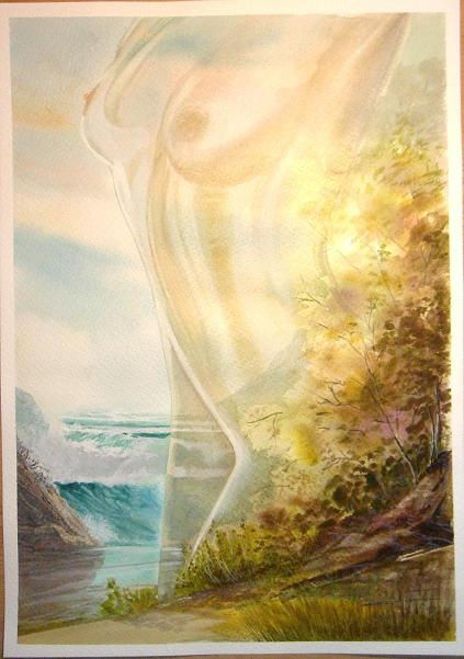 TRANSPARENCIA