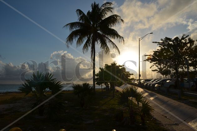 paisaje 2
