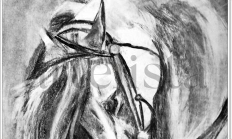 retratos, cuerpo humano, bodegoness