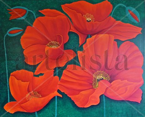 Coquelicots - Amapolas