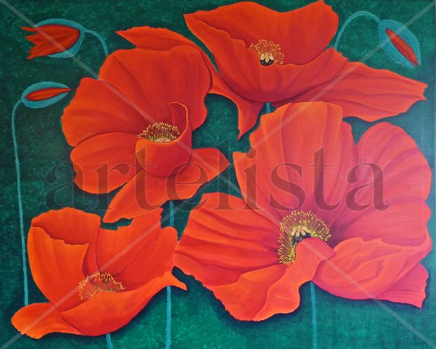 Coquelicots - Amapolas