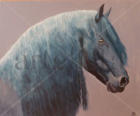 Frison