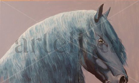 Caballos