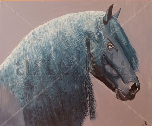 Frison
