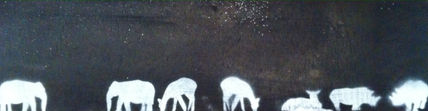 Nocturnal