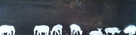 Nocturnal
