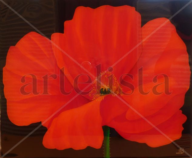 Amapolas 4 Acrylic Canvas Floral Painting