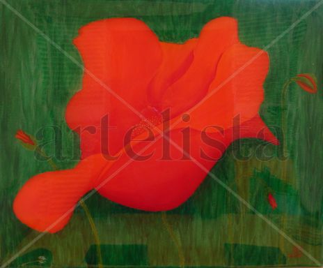 Amapolas 6