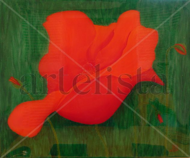 Amapolas 6