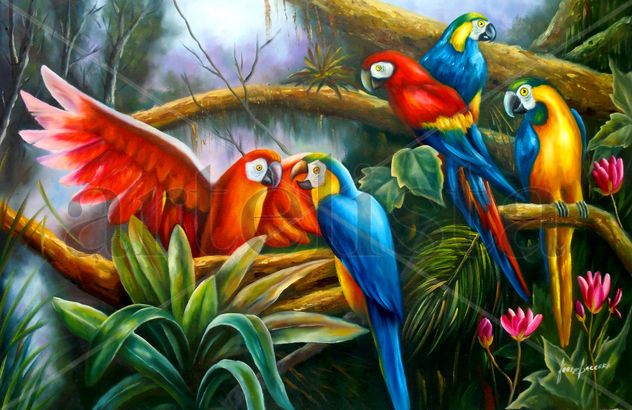 PAPAGAYOS  DEL TRÓPICO