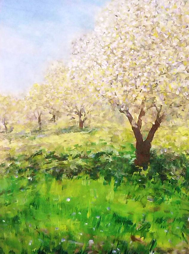 primaveras