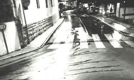 Fotografía