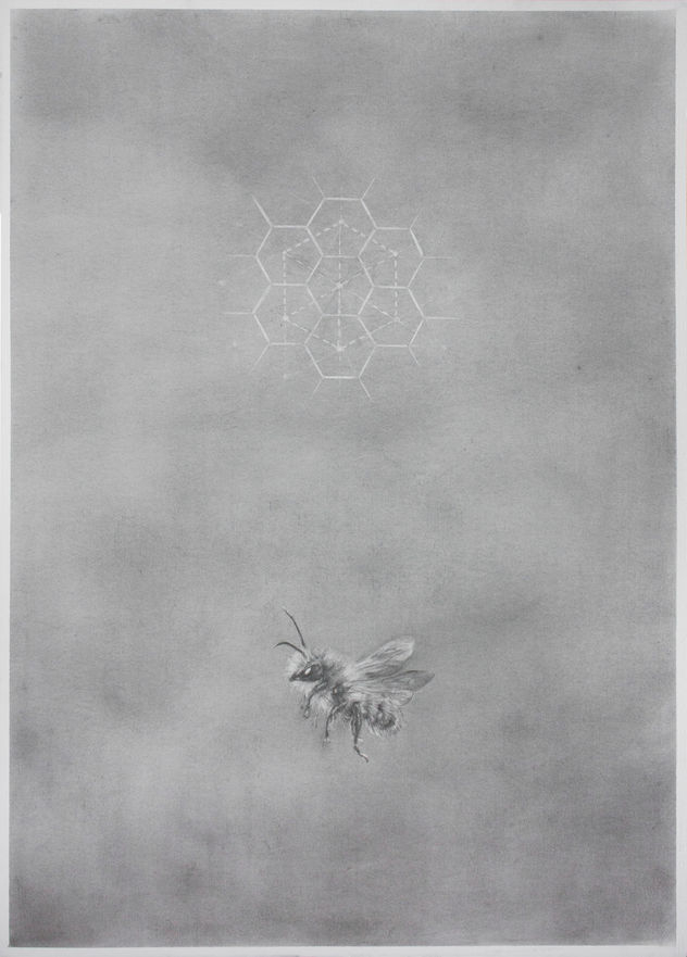 The bee
