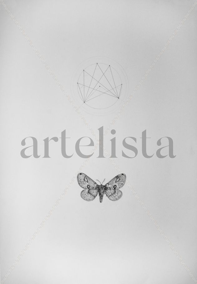 The moth